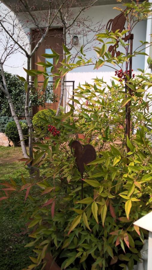 Le Betulle Bed and Breakfast Zanica Εξωτερικό φωτογραφία